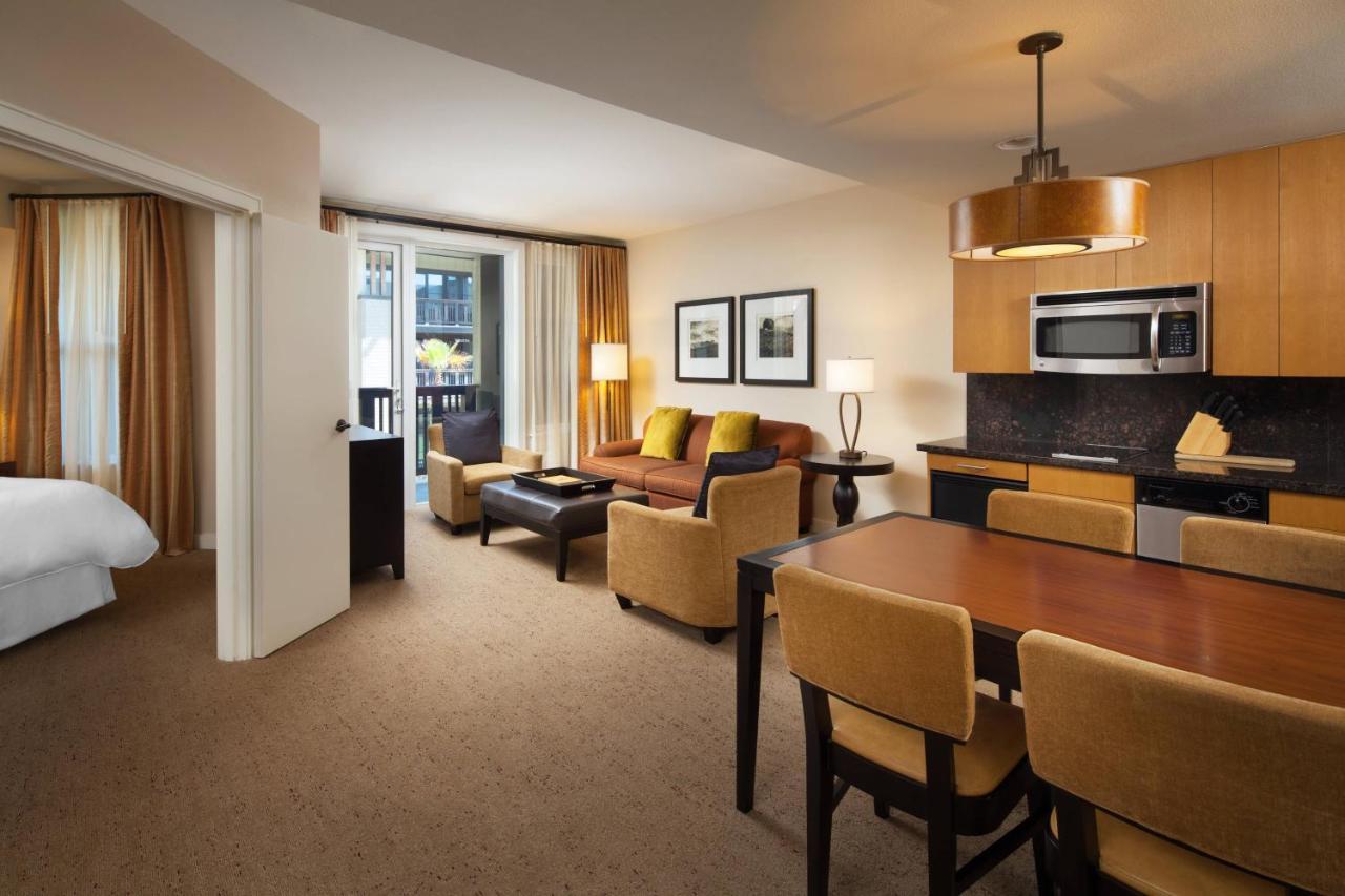Suite, 1 King, Sofa bed